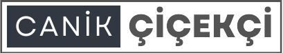 ##########